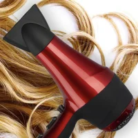 Сешоар - шега